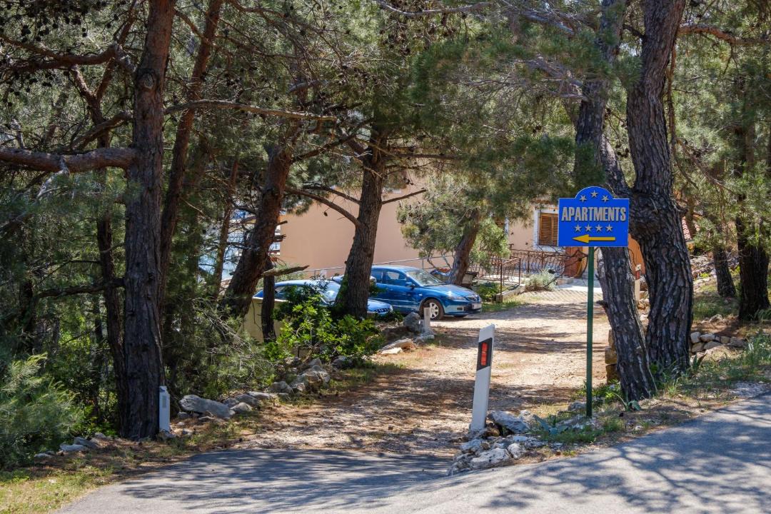 Photo of Others in Martinscica