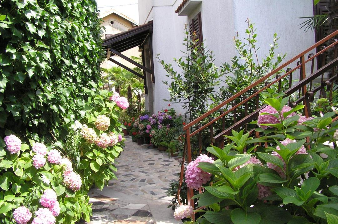 Photo of Others in Opatija