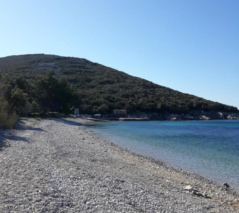 Photo of Others in Miholascica