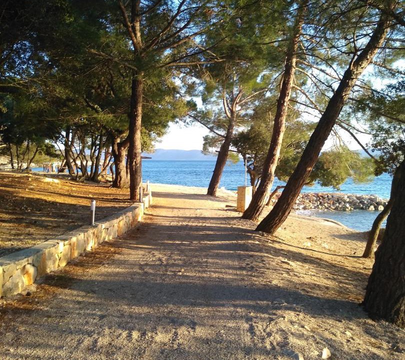 Photo of Others in Pinezici