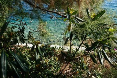 Photo of Outdoor in Senj