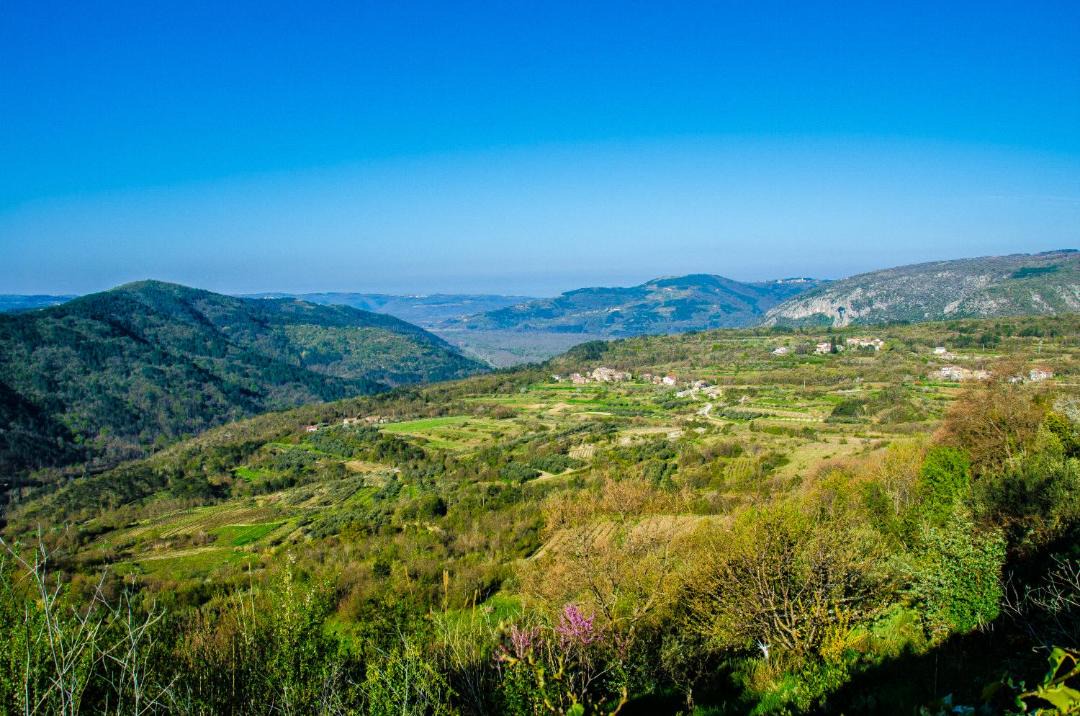 Photo of Others in Sovinjak