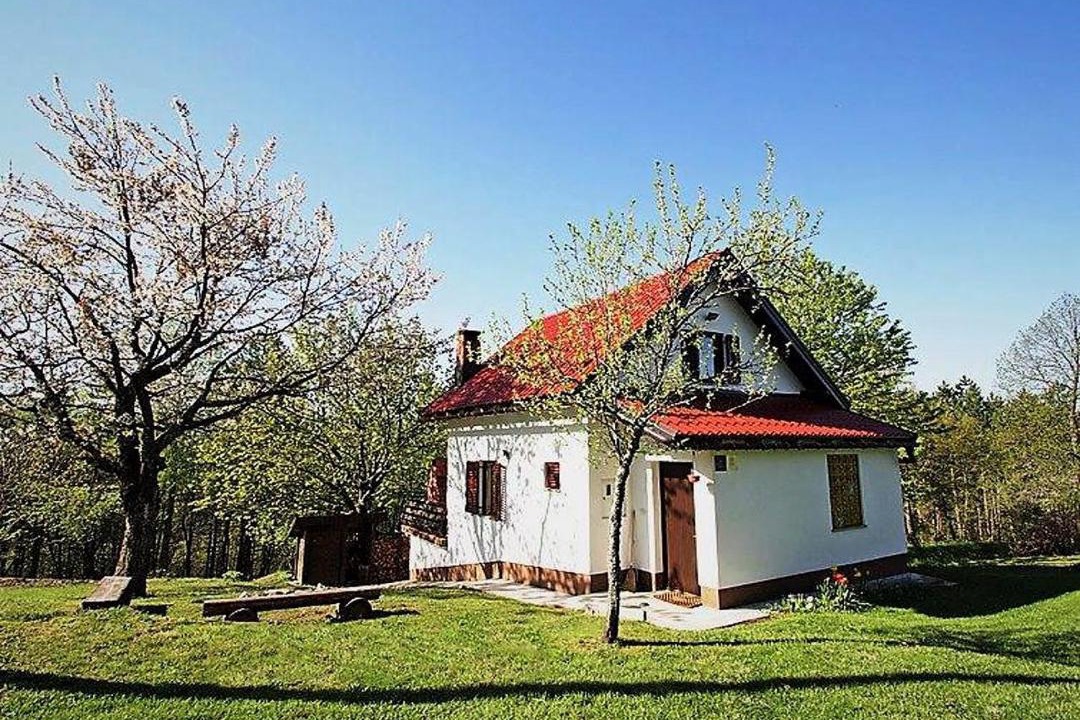 Photo of Buildings in Skrad