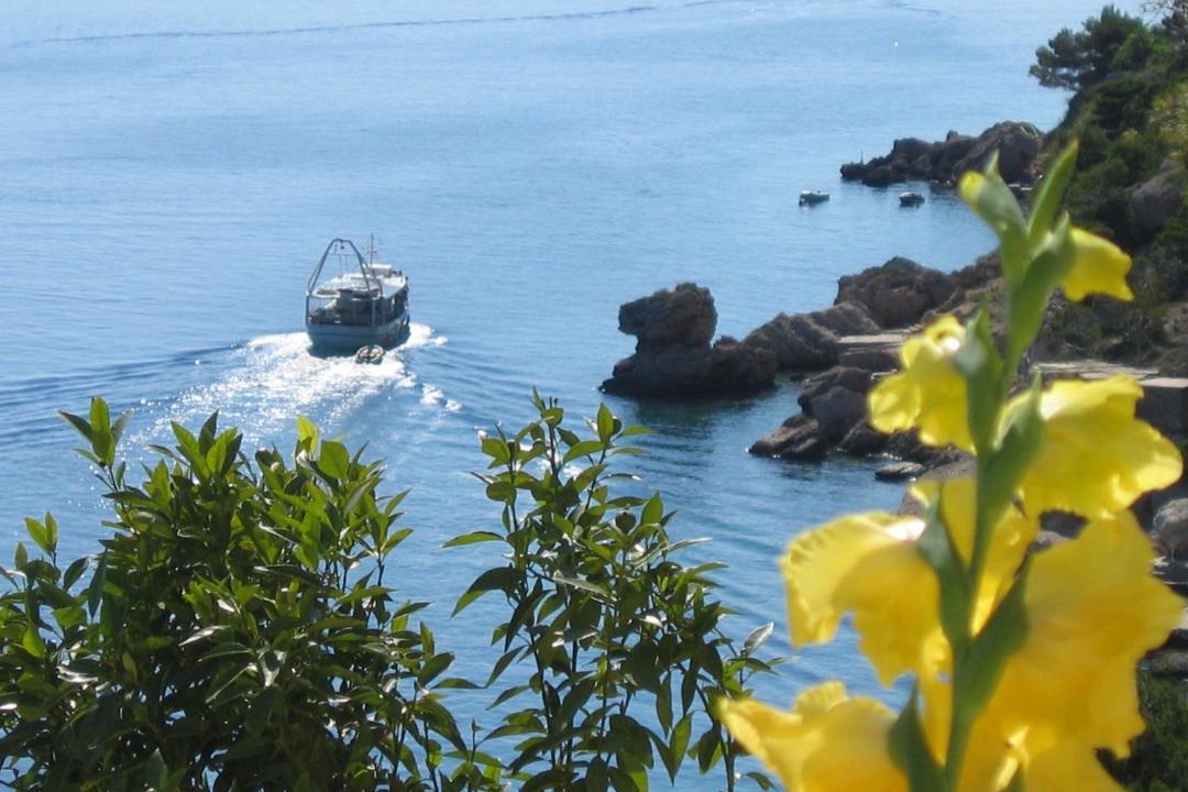 Photo of Others in Marusici