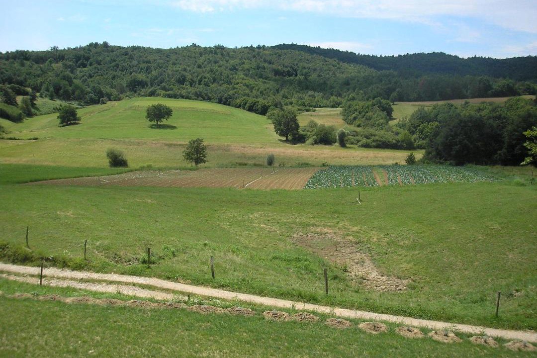 Photo of Others in Borut