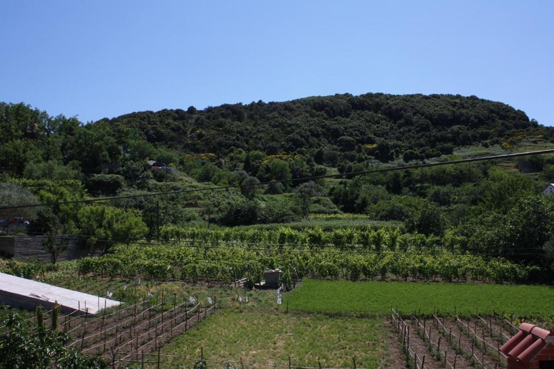 Photo of Others in Supetarska Draga