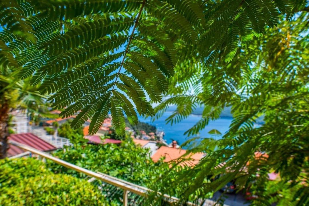 Photo of Others in Rabac