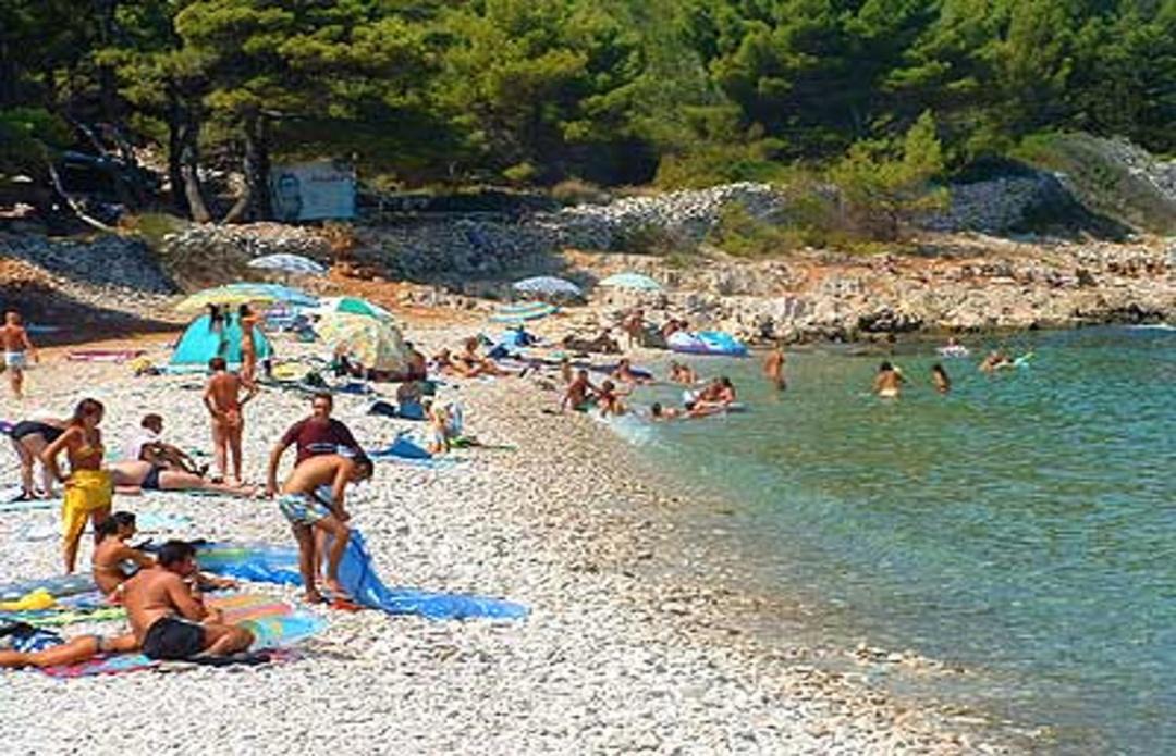 Photo of Others in Splitska