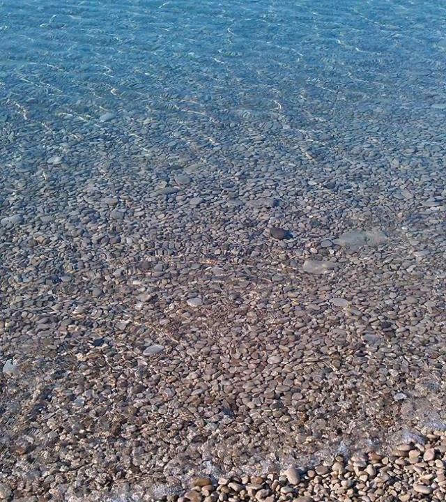 Photo of Others in Viskovici
