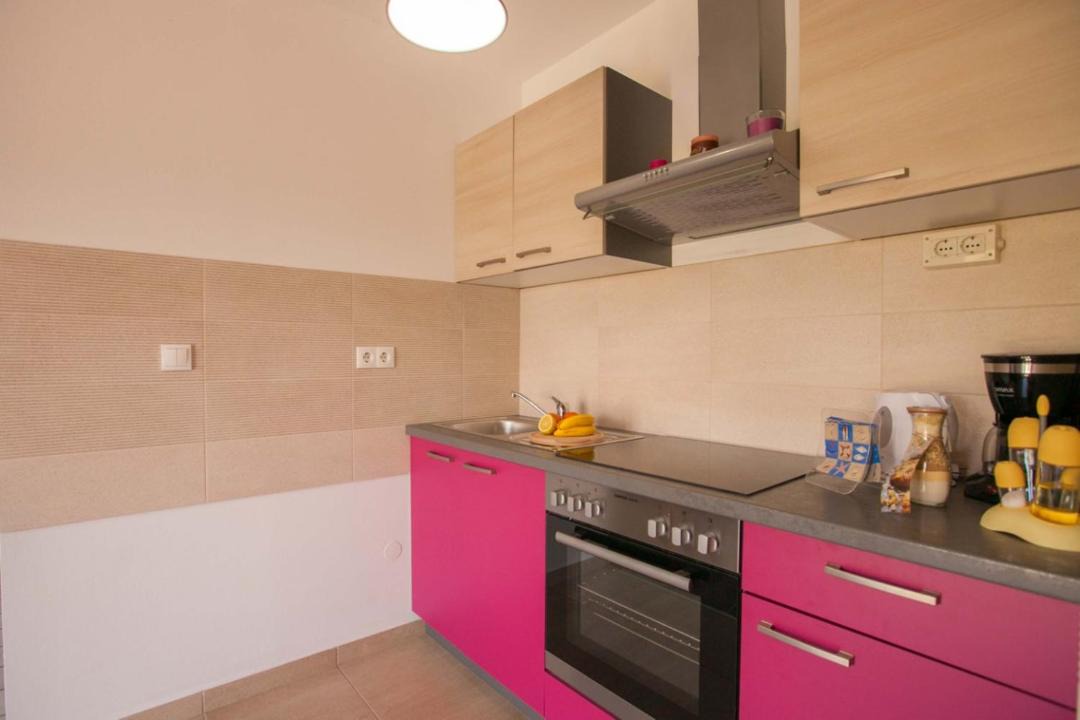 Photo of Kitchen in Milovcici