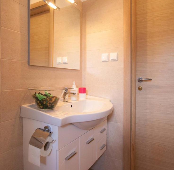 Photo of Bathroom in Milovcici