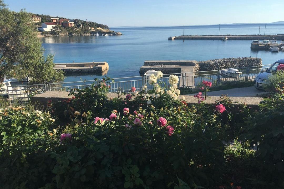 Photo of Others in Jakisnica