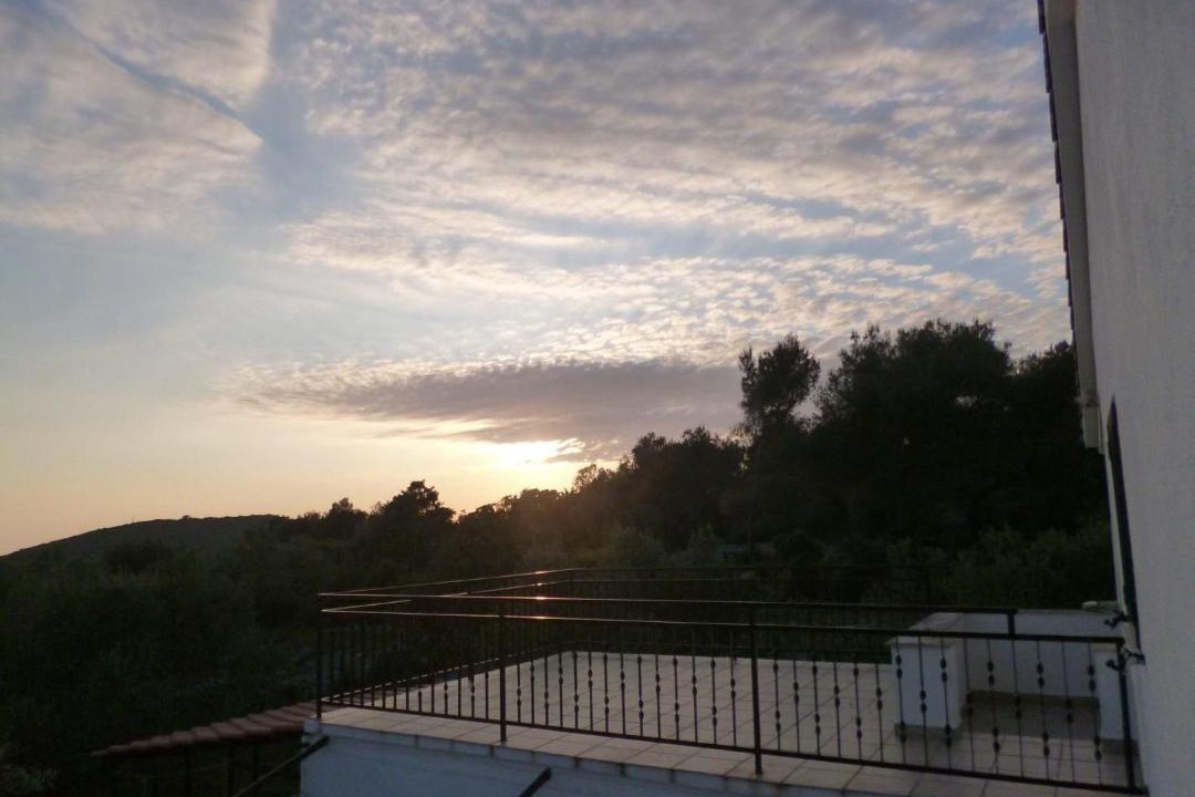 Photo of Others in Maslinica