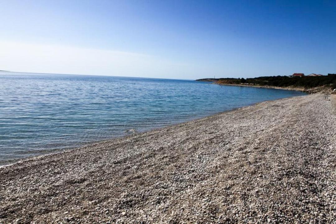 Photo of Others in Miholascica