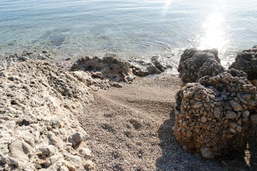 Photo of Others in Miholascica