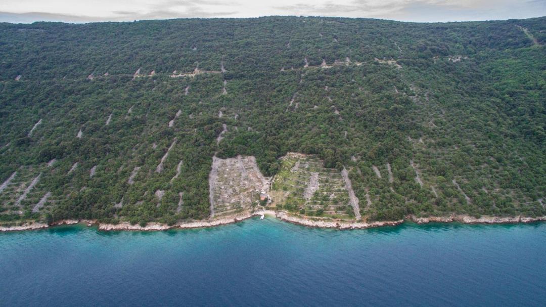 Photo of Others in Cres