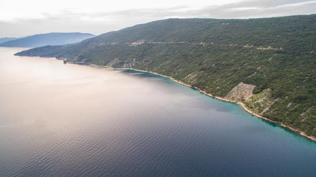 Photo of Others in Cres
