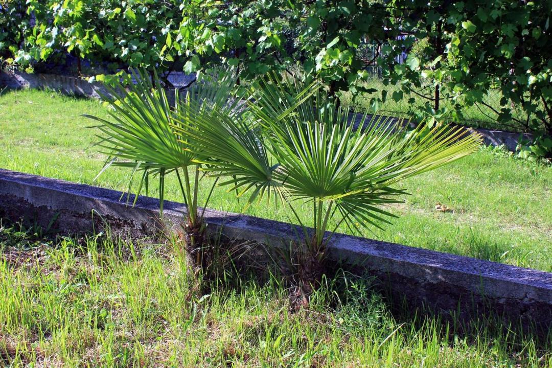 Photo of Outdoor in Opric