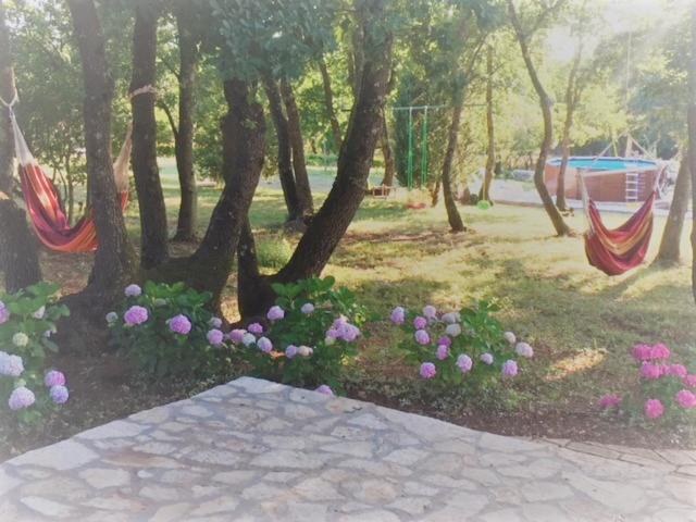 Photo of Others in Loborika