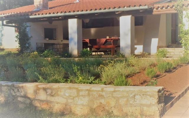 Photo of Buildings in Loborika
