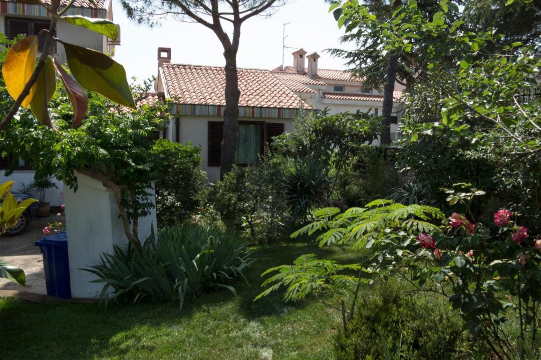 Photo of Others in Pjescana Uvala