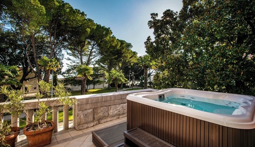 Deluxe Room with Balcony and Park View
