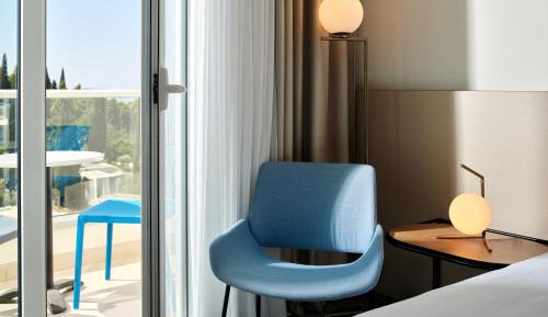 Superior Room Park  View