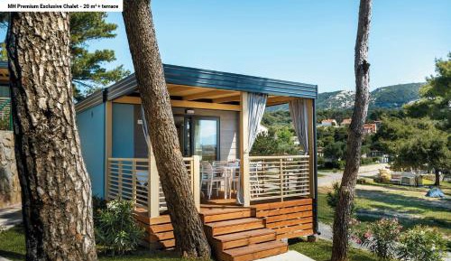 Mobile Home