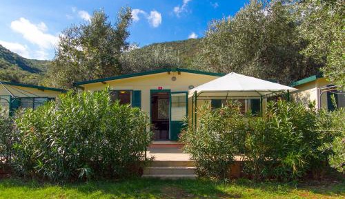 Mobile Home Standard