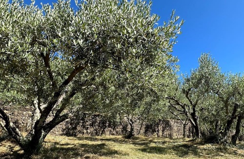 Oprtalj Cottage | Charming 2-bedroom cottage with swimmingpool in welcoming Oprtalj with WiFi, AC