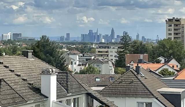 Apartment 'Taunus-Zimmer Skyline-Blick' with Wi-Fi
